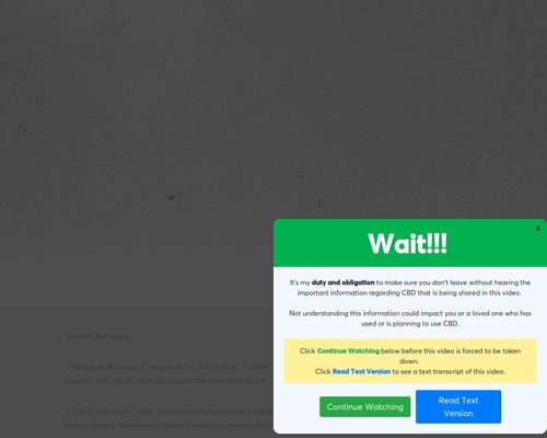 endometriosis pain relief